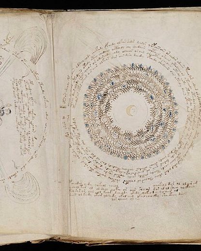 manuscrit voynich plantes déchiffrement intelligence artificielle IA