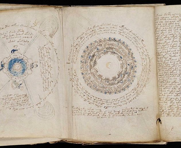 manuscrit voynich plantes déchiffrement intelligence artificielle IA