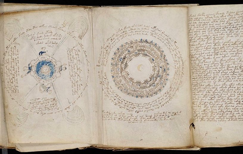 manuscrit voynich plantes déchiffrement intelligence artificielle IA