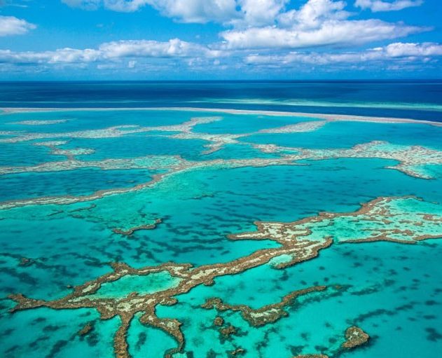 virus bactérie bactériophage ocean eau