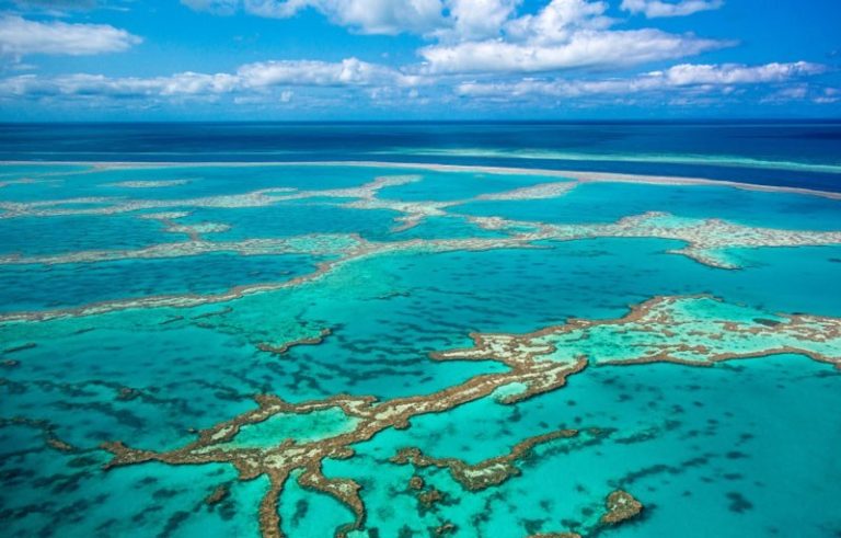virus bactérie bactériophage ocean eau