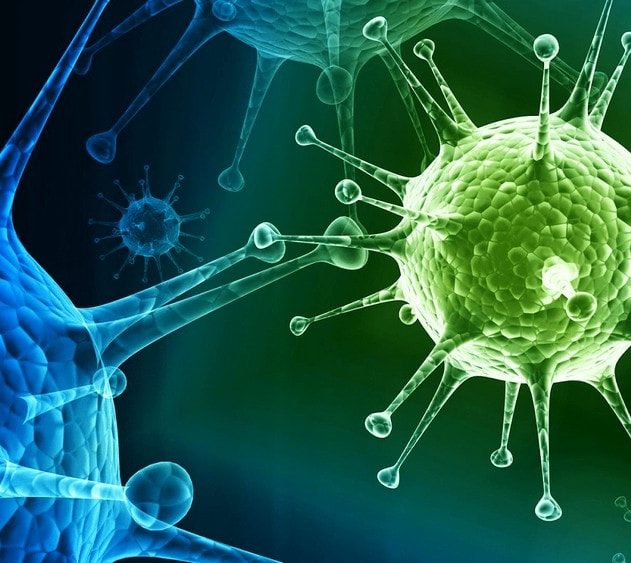 virus grippe saisonnière épidémie