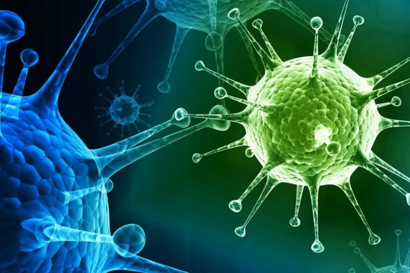 virus grippe saisonnière épidémie