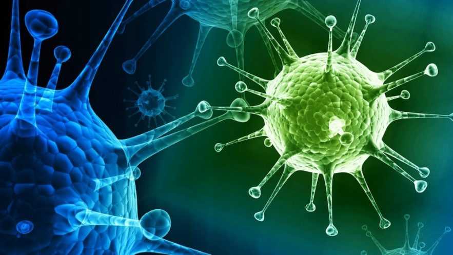 virus grippe saisonnière épidémie