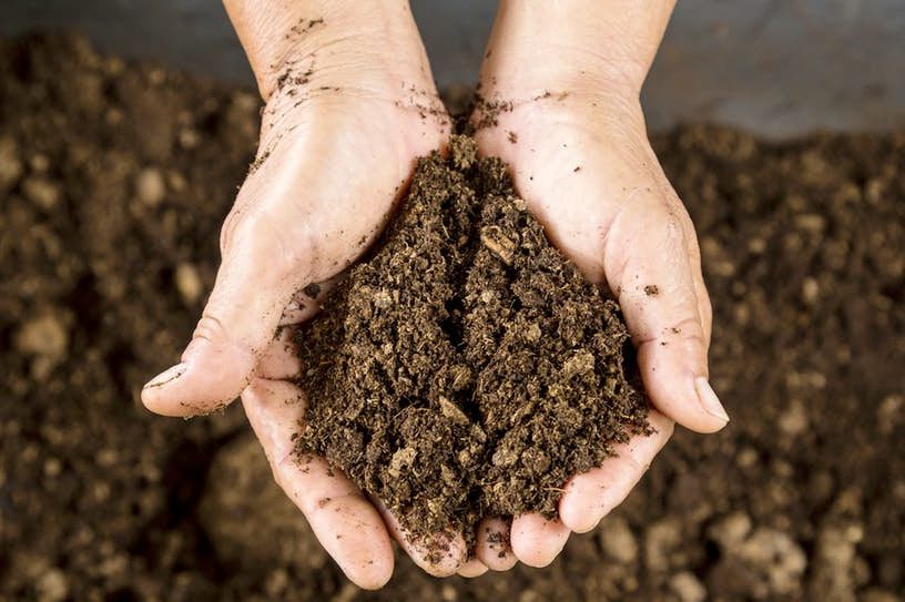 terre sol bactéries super résistance médicaments antibiotiques gène calcium