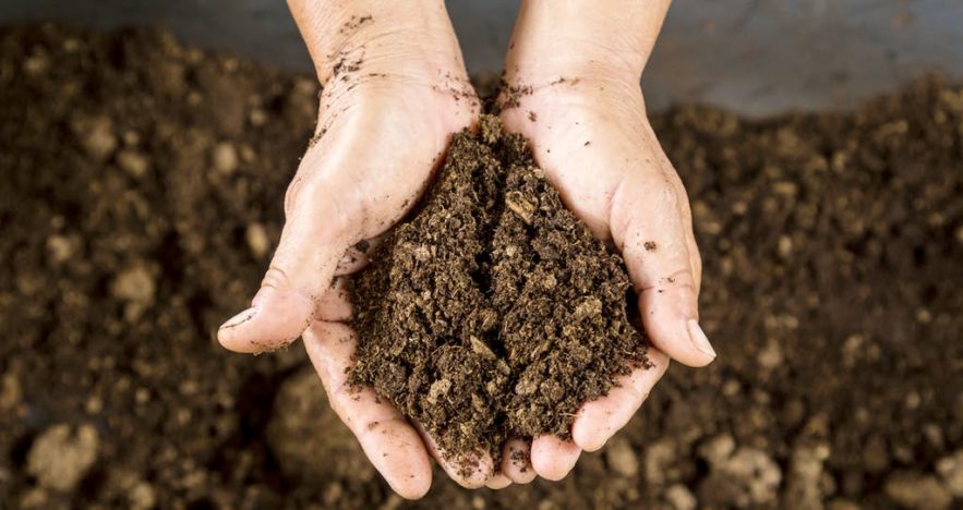 terre sol bactéries super résistance médicaments antibiotiques gène calcium