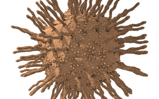 virus géant enzyme cellule bactéries