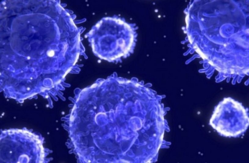 cellule naturelle hybride