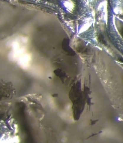 diamant inclusion perovskite