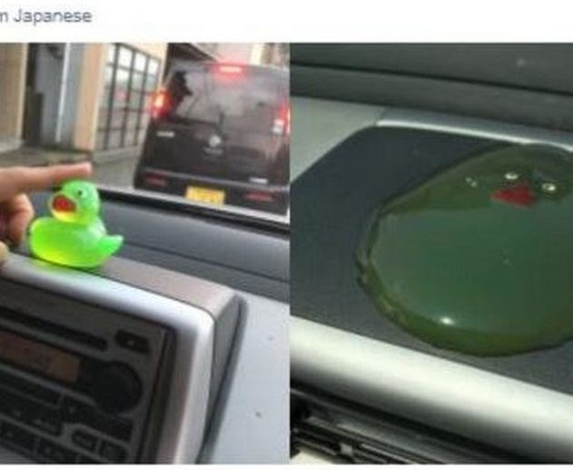 canard blob fondu twitter buzz photo truquée image
