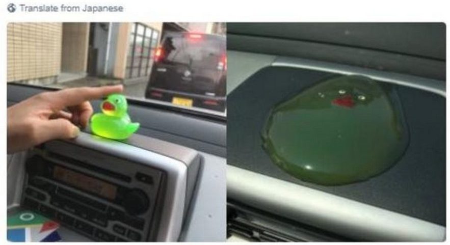 canard blob fondu twitter buzz photo truquée image