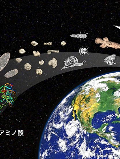 origine vie proteine