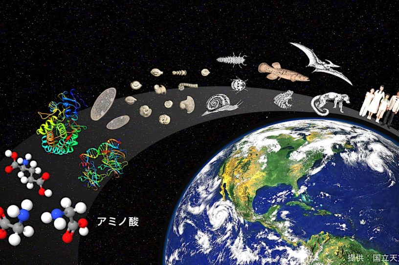 origine vie proteine