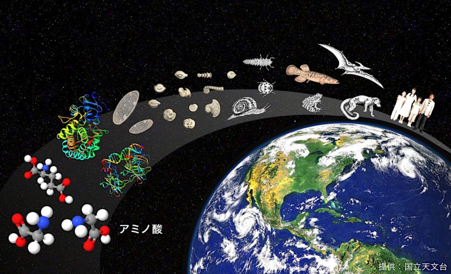origine vie proteine