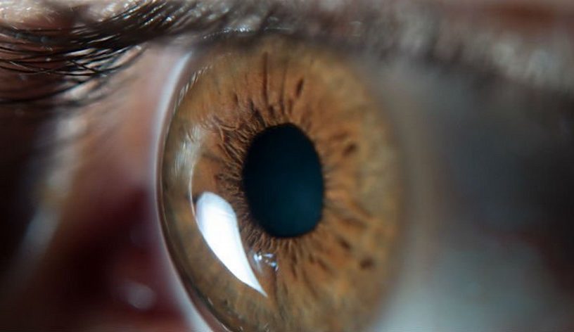 yeux oeil degenerescence maculaire traitement