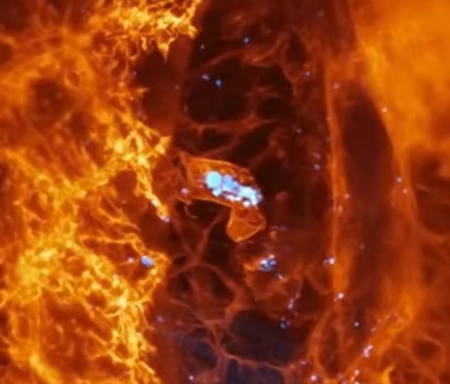 cellule dynamique