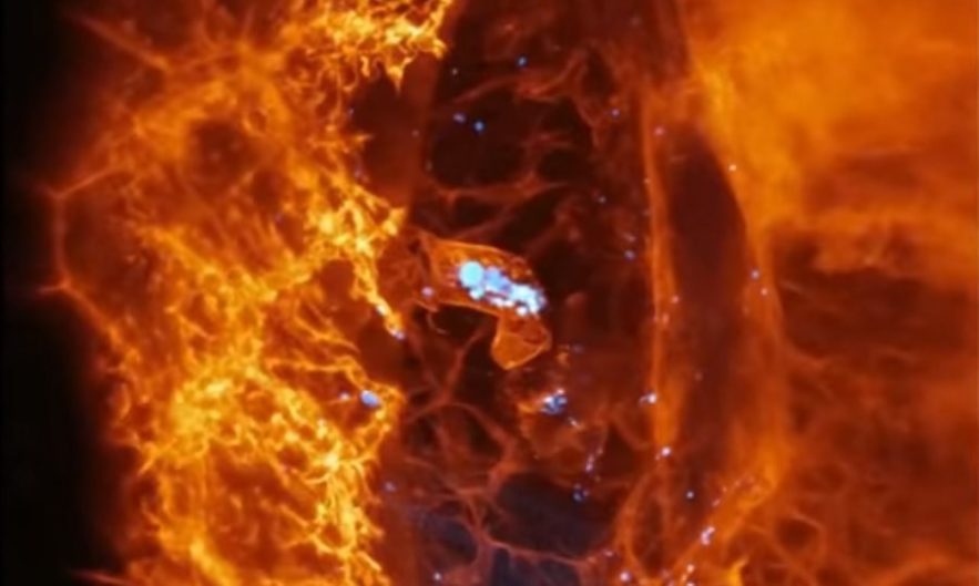 cellule dynamique