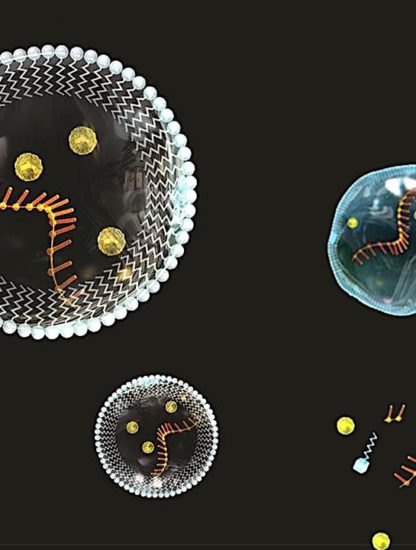 cellules origine vie