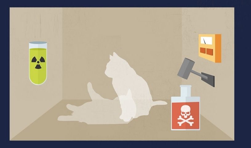 chat schrodinger bandeau