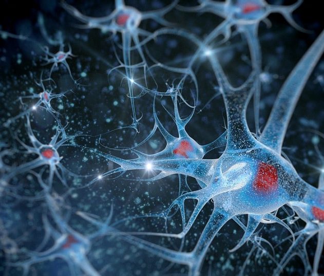 neurones artiste