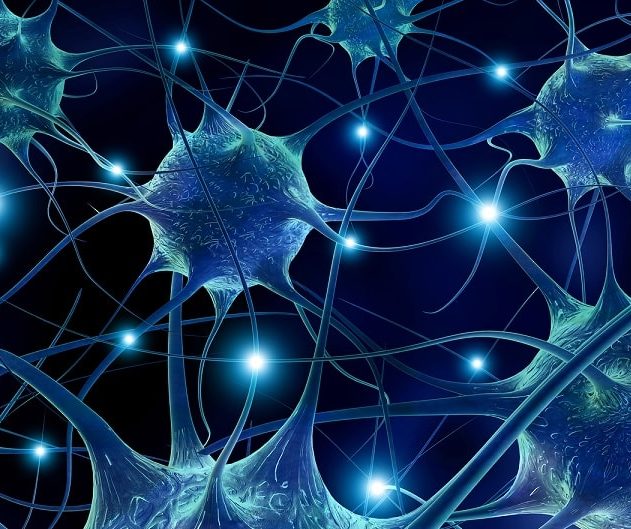 neurones autisme