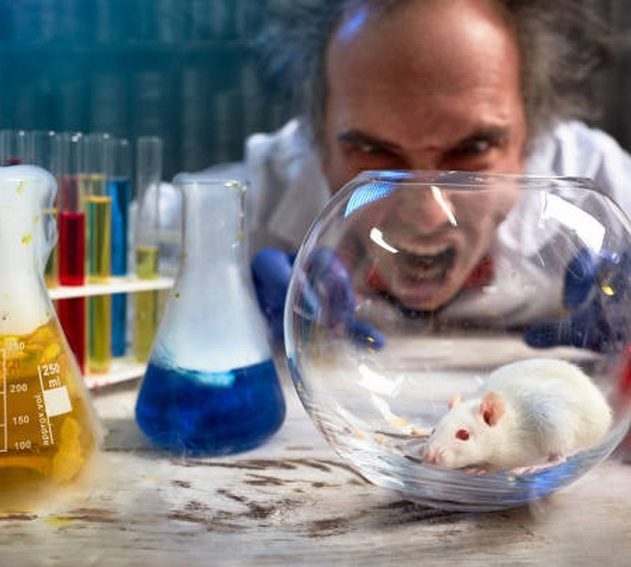 scientifique photo istock fou souris rat laboratoire cliche
