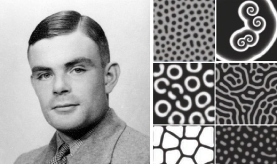 alan turing filtre