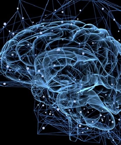 cerveau hologramme