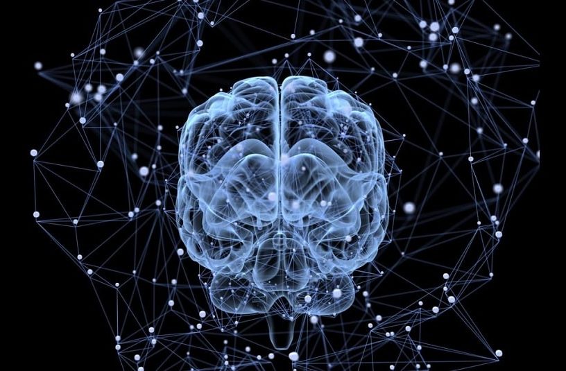 cerveau reseau