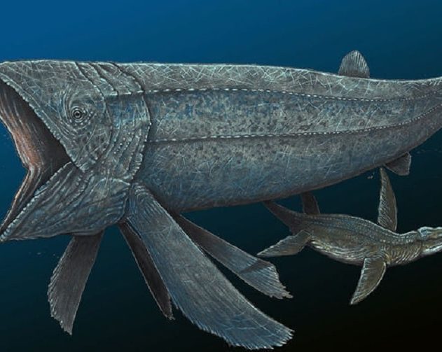 poisson prehistorique