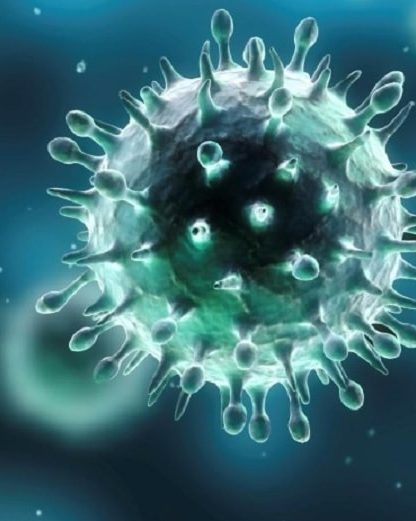 virus herpes
