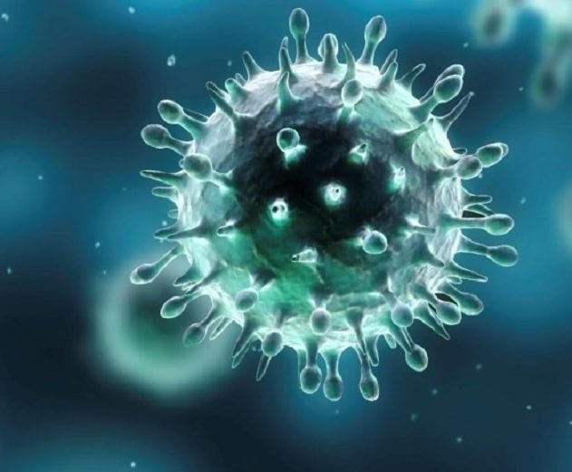 virus herpes