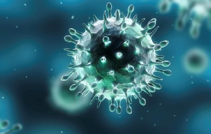 virus herpes