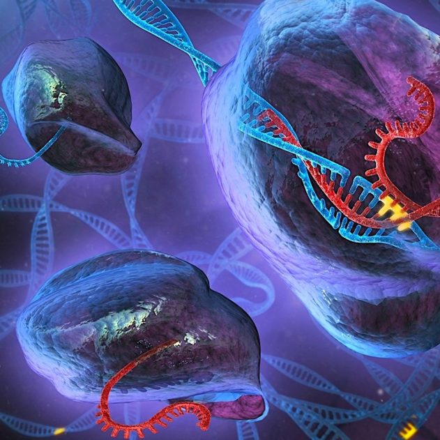 CRISPR adn edition genetique
