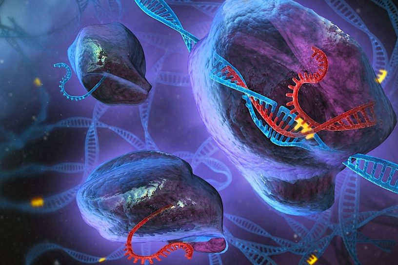 CRISPR adn edition genetique