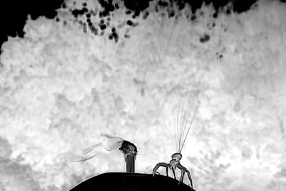 araignee crabe parachute