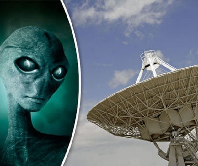 contact et