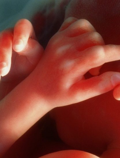 grossesse placenta schizophrenie