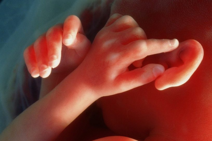 grossesse placenta schizophrenie