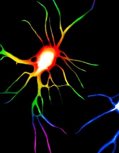 neurone lsd