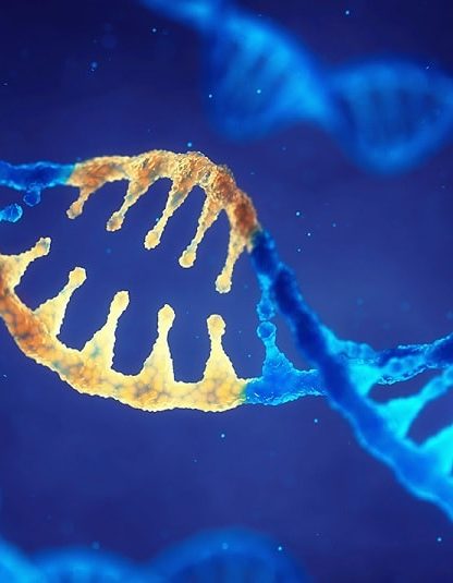 cirpsr mutations génétique adn
