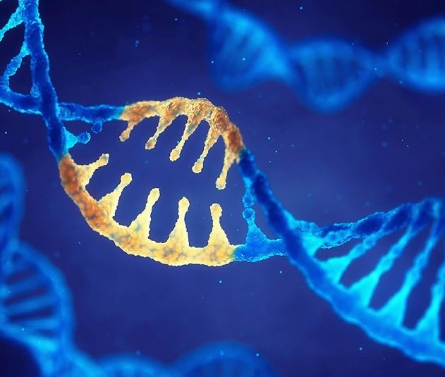 cirpsr mutations génétique adn