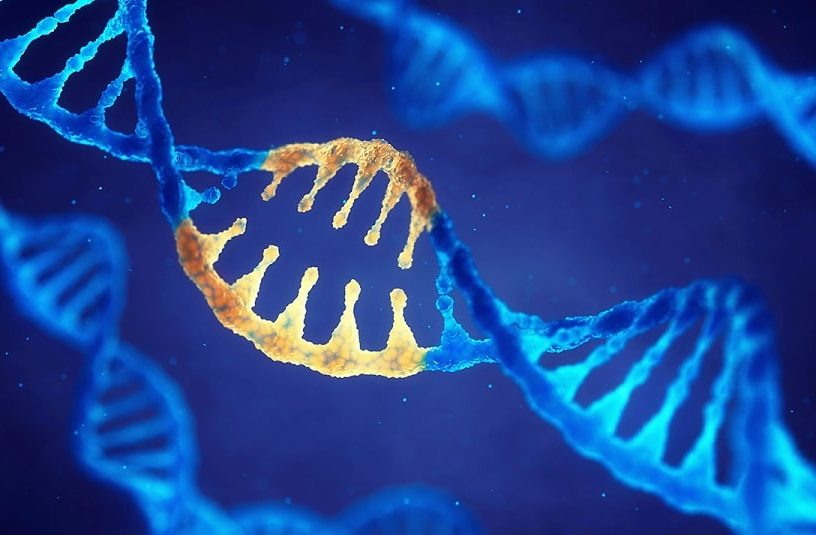 cirpsr mutations génétique adn