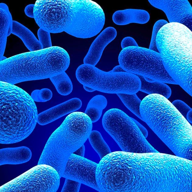 flore intestinale autisme
