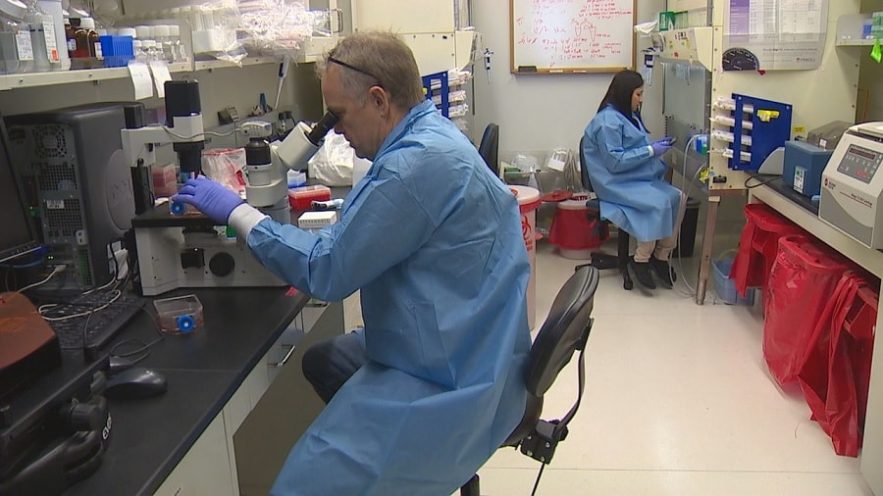 labo virus VIH vaccin