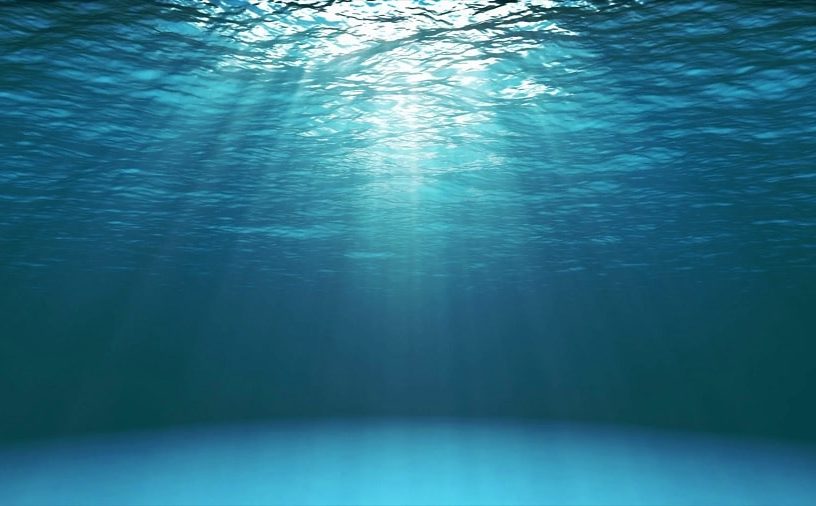 ocean rechauffement climatique animaux paleozoic