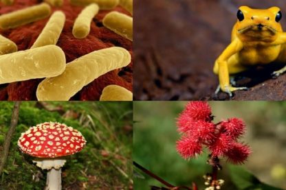 poisons toxines substances toxiques