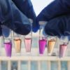 proteine lumiere rhodopsine photosensible