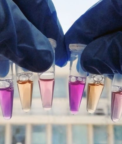 proteine lumiere rhodopsine photosensible
