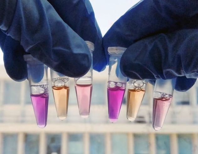 proteine lumiere rhodopsine photosensible